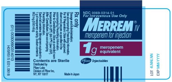 Buy Merrem IV 1g