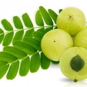 Amla for Vitamin C and Skin Health