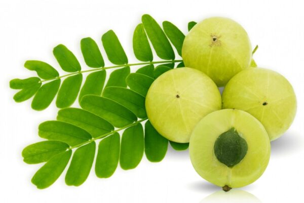 Amla for Vitamin C and Skin Health